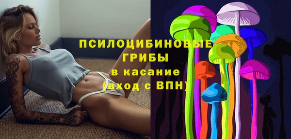 первитин Приозерск